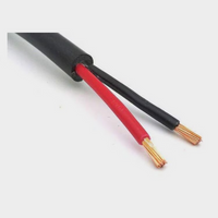 2 Core Wire